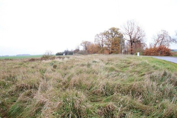 Działka 9200 m2 w PĘCŁAW