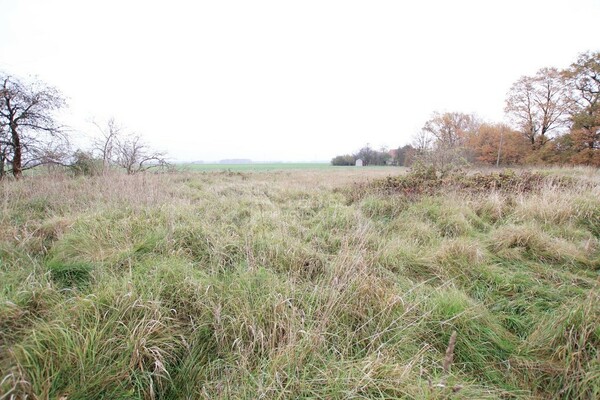 Działka 9200 m2 w PĘCŁAW