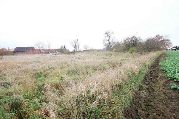 Działka 9200 m2 w PĘCŁAW