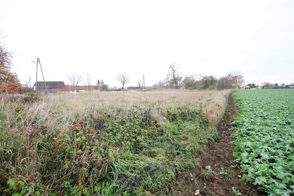 Działka 9200 m2 w PĘCŁAW