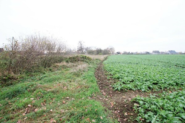 Działka 9200 m2 w PĘCŁAW