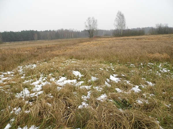 Działka 96800 m2 w ŁAPY