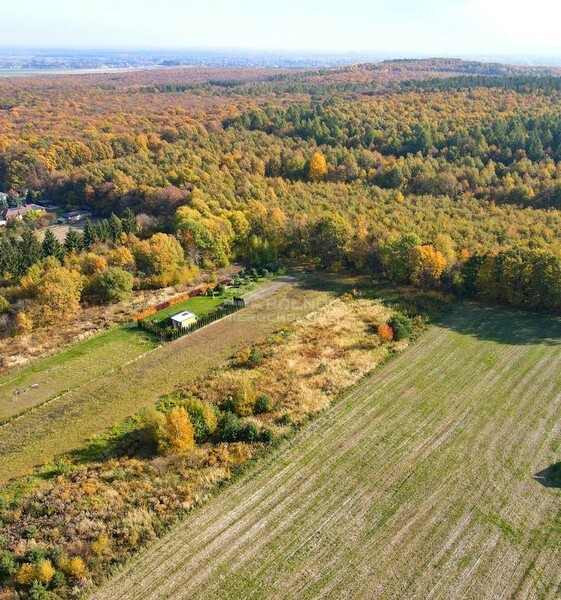 Działka 3400 m2 w CHEŁM