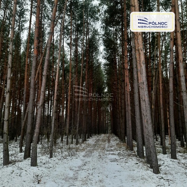 Działka 96800 m2 w ŁAPY