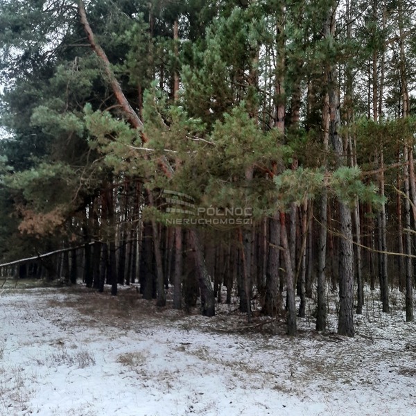 Działka 96800 m2 w ŁAPY