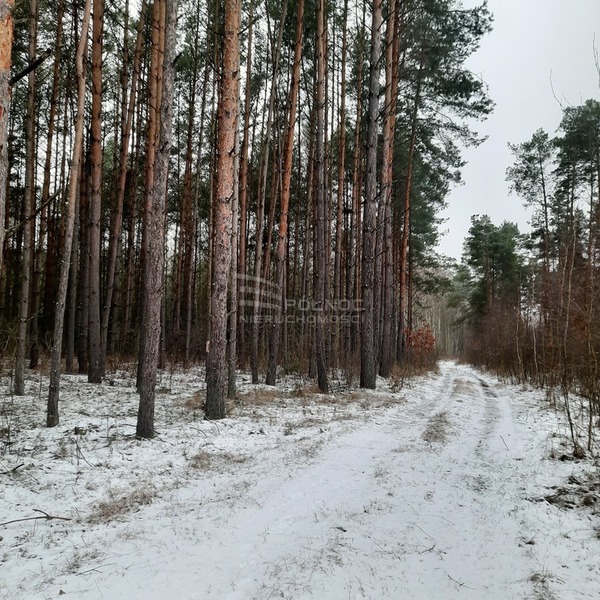 Działka 96800 m2 w ŁAPY