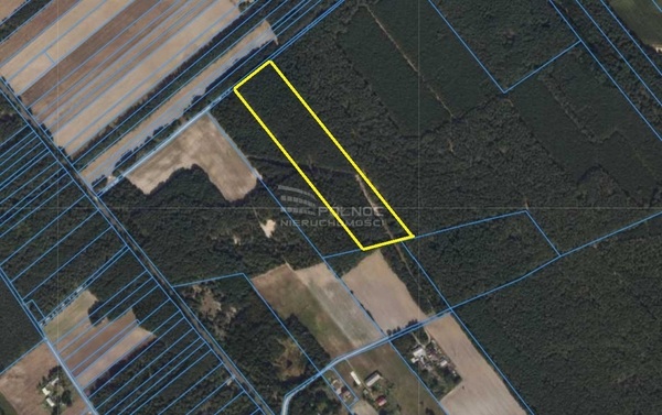 Działka 36600 m2 w KAWĘCZYN