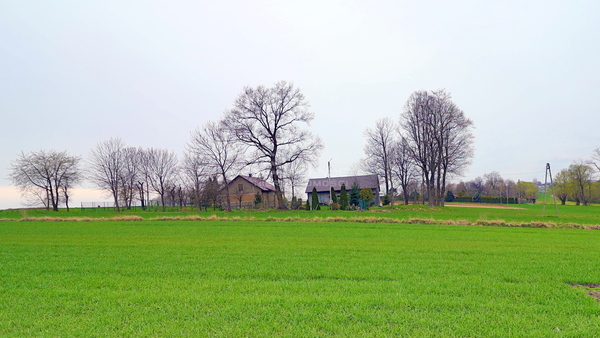 Działka 4337 m2 w PAŁECZNICA