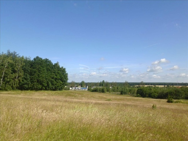 Działka 1678 m2 w CHOJNÓW