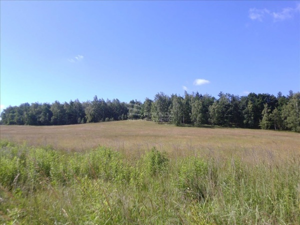 Działka 1678 m2 w CHOJNÓW