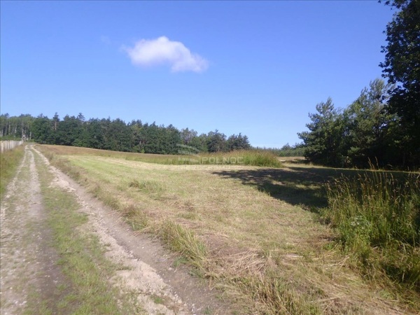 Działka 1678 m2 w CHOJNÓW