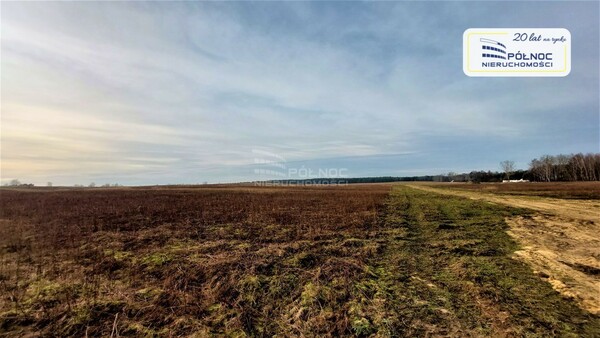 Działka 1133 m2 w GOMUNICE