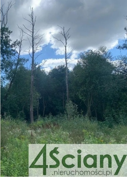 Działka 1000 m2 w MILANÓWEK