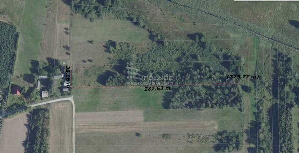 Działka 11100 m2 w ŁOPUSZNO