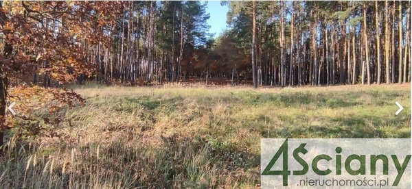 Działka 1356 m2 w WARSZAWA