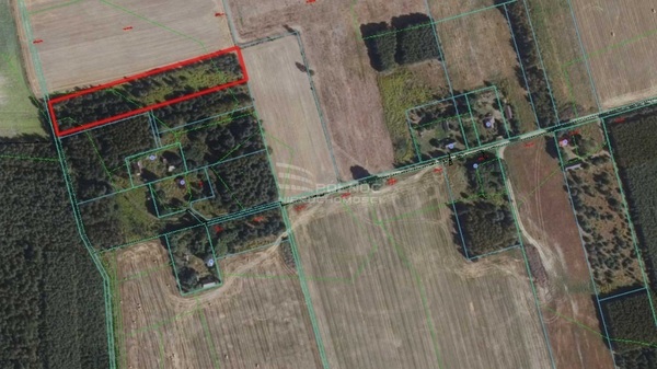 Działka 7500 m2 w GRÓDEK