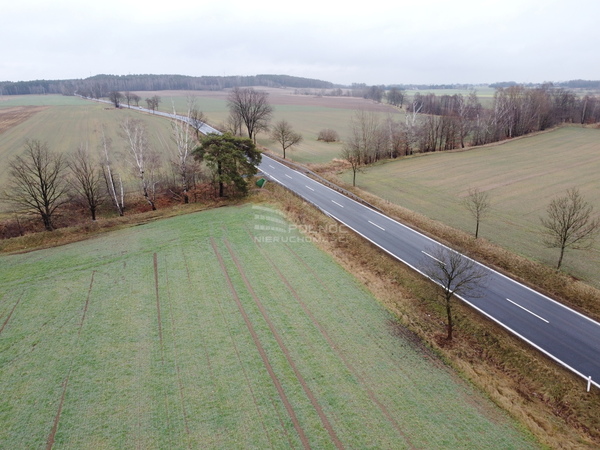 Działka 47000 m2 w NOWOGRODZIEC