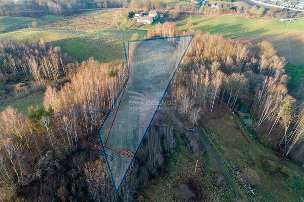 Działka 10159 m2 w PRZODKOWO