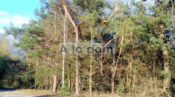 Działka 4015 m2 w wołomiński