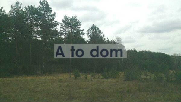 Działka 55000 m2 w wołomiński