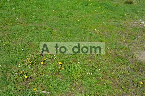 Działka 8623 m2 w wołomiński