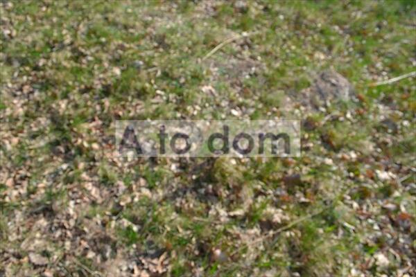 Działka 900 m2 w wołomiński