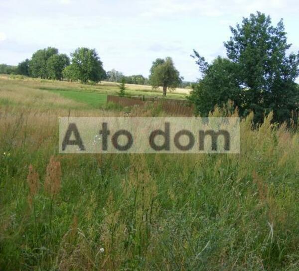 Działka 6400 m2 w wołomiński