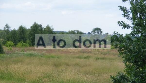 Działka 6400 m2 w wołomiński