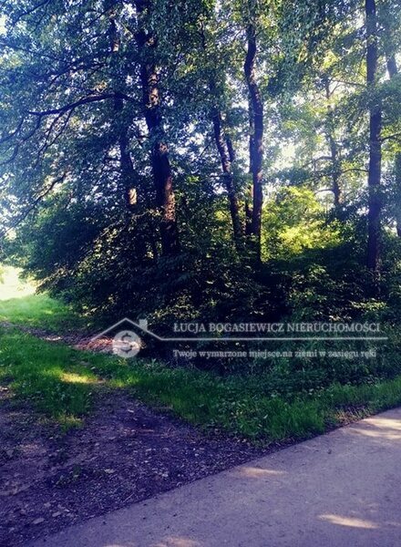 Działka 4962 m2 w Jaworze