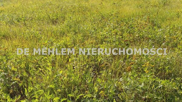 Działka 3500 m2 w Tychy