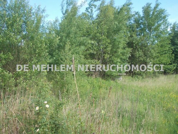 Działka 4900 m2 w Piekary Śląskie