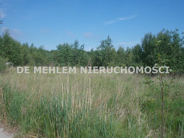 Działka 4900 m2 w Piekary Śląskie