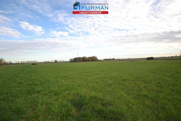 Działka 33856 m2 w Lubasz