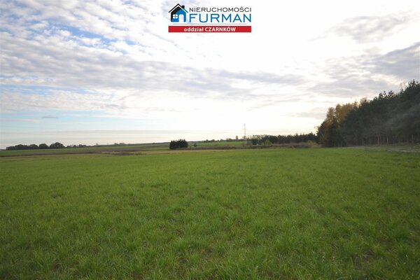 Działka 33856 m2 w Lubasz