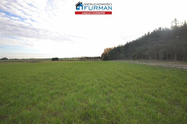 Działka 33856 m2 w Lubasz