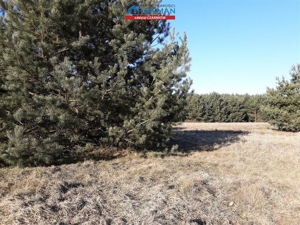 Działka 988 m2 w Kamiennik