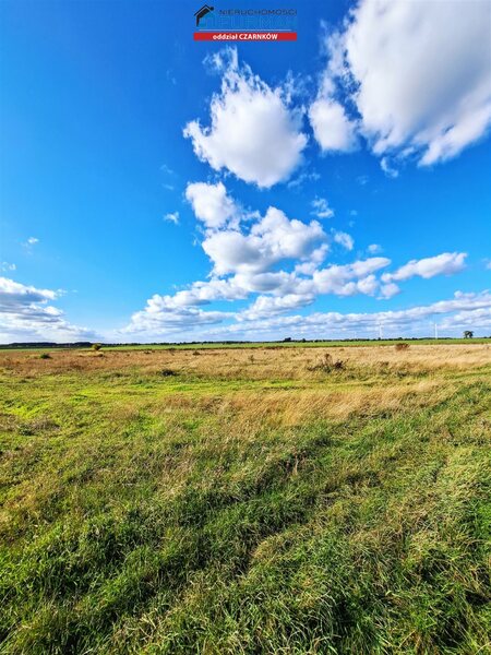 Działka 20100 m2 w Radolin