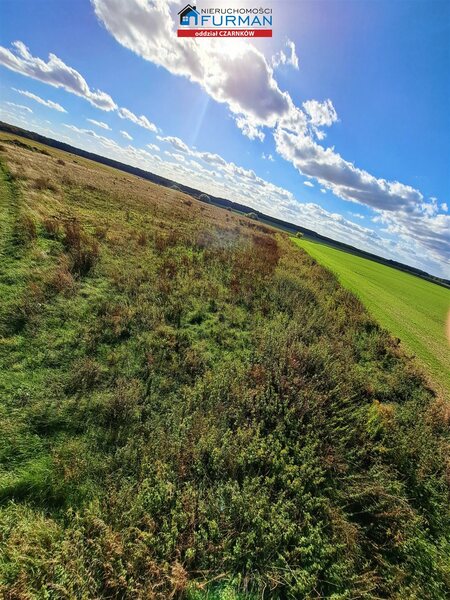 Działka 20100 m2 w Radolin