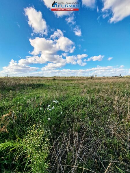 Działka 20100 m2 w Radolin