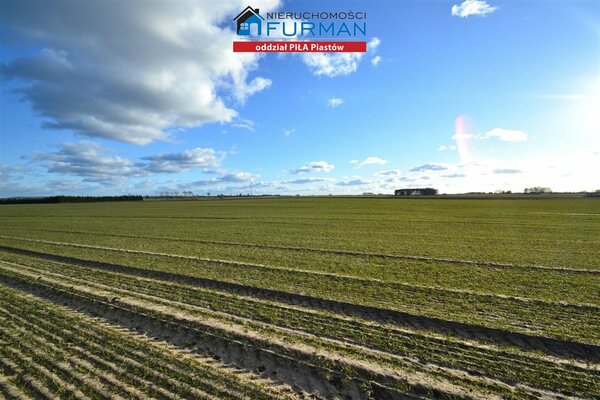 Działka 9635 m2 w Ujście