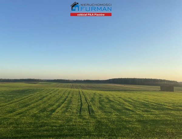 Działka 3004 m2 w Nowy Dwór