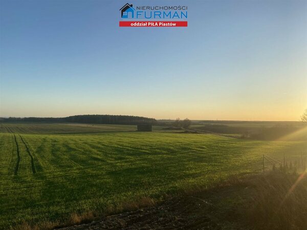 Działka 3004 m2 w Nowy Dwór