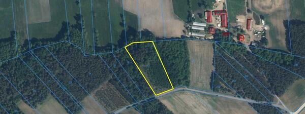 Działka 8000 m2 w łomżyński