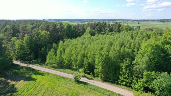 Działka 8000 m2 w łomżyński