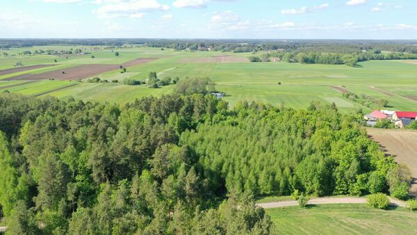 Działka 8000 m2 w łomżyński