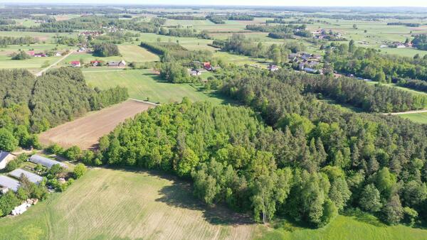 Działka 8000 m2 w łomżyński