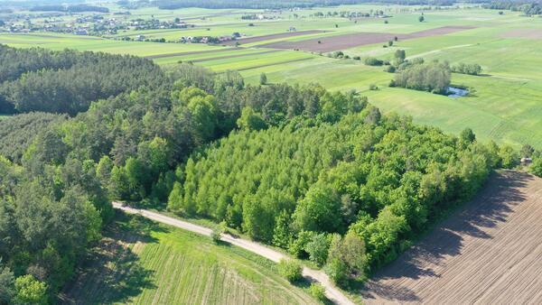 Działka 8000 m2 w łomżyński
