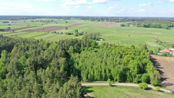 Działka 8000 m2 w łomżyński