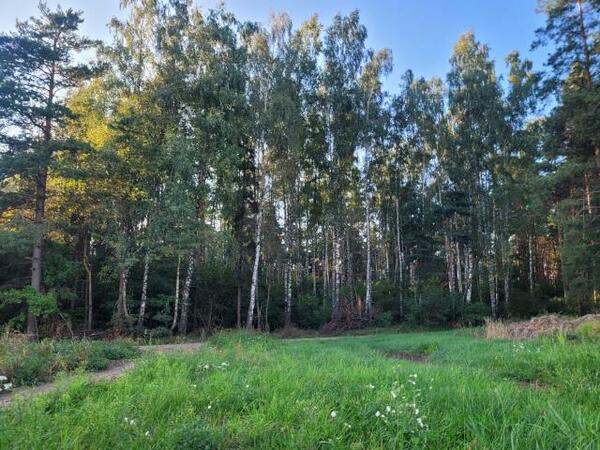 Działka 6343 m2 w kolneński