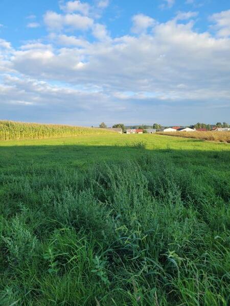 Działka 6343 m2 w kolneński